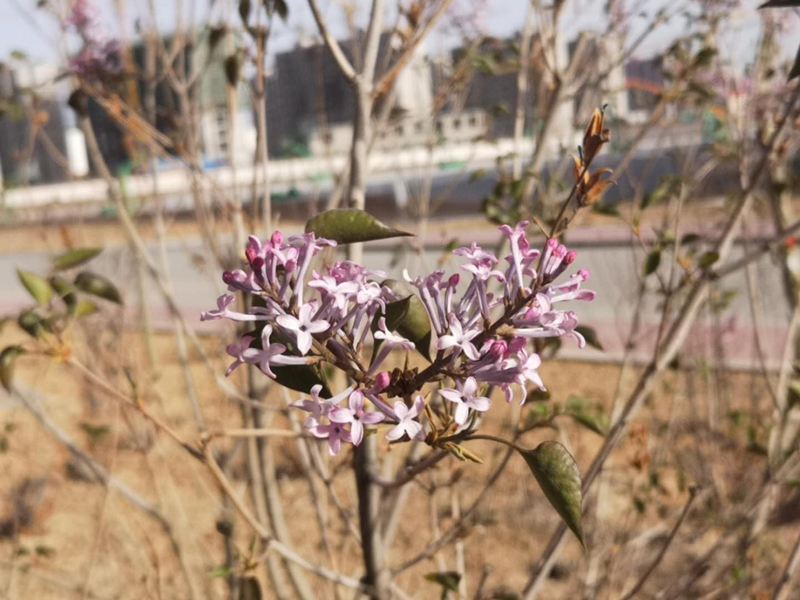 计划07.jpg