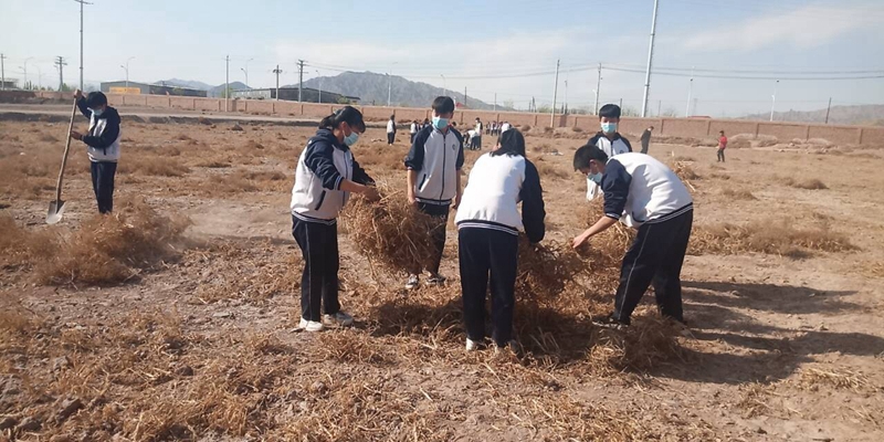韩国06.jpg