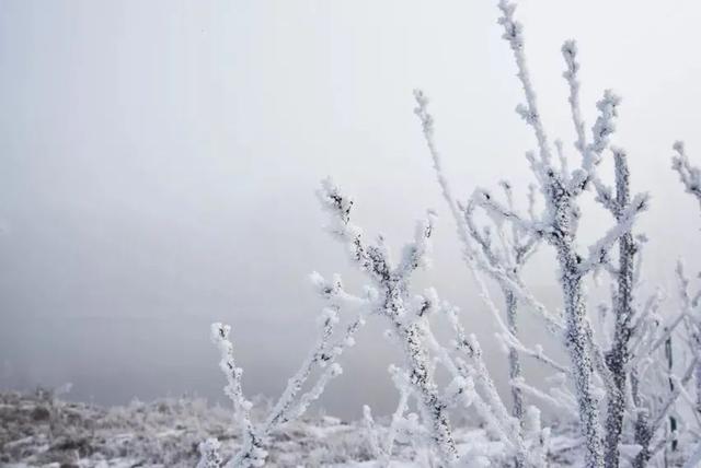 faedab64034f78f01acdae2edc36695cb2191c3d.jpeg