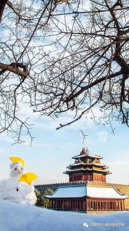 大雪2.webp.jpg