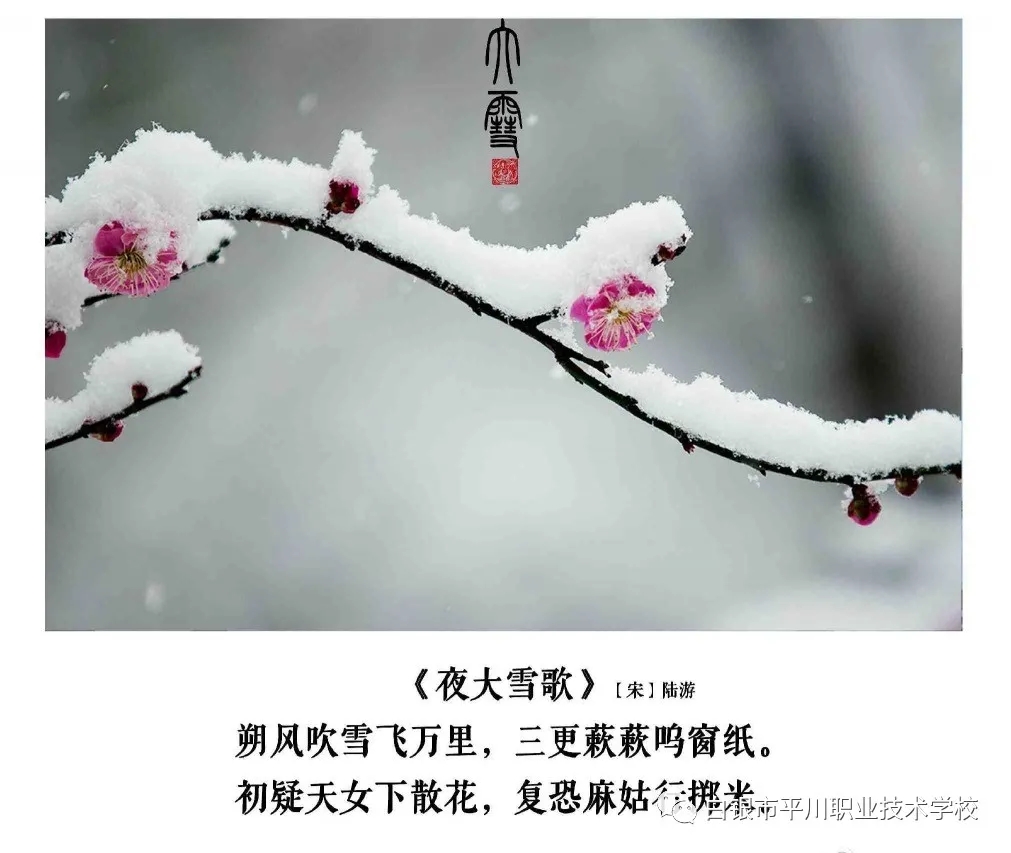 大雪3.webp.jpg