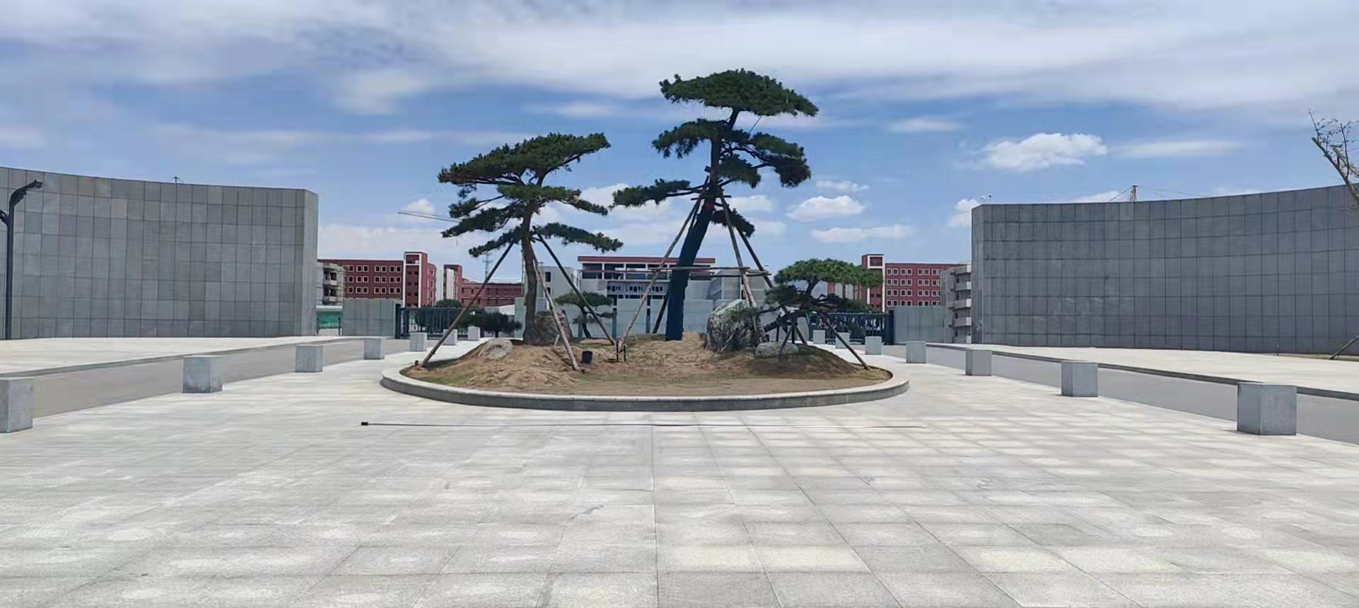 校园5.jpg